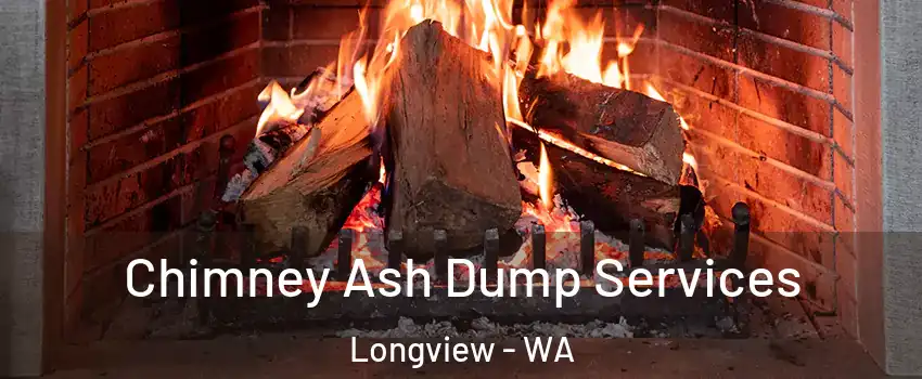  Chimney Ash Dump Services Longview - WA