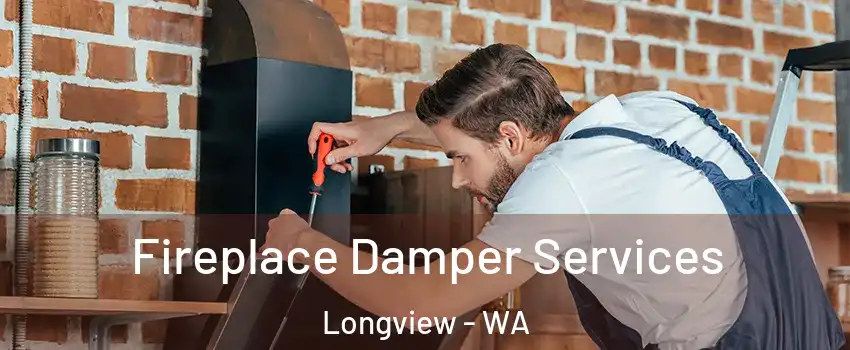  Fireplace Damper Services Longview - WA