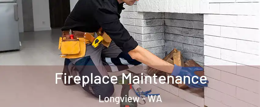  Fireplace Maintenance Longview - WA